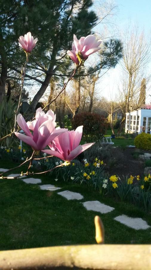 Le Clos De Saint Amour มงโตบ็อง ภายนอก รูปภาพ